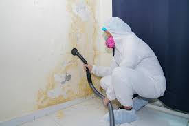 Best Asbestos and Lead Testing During Mold Inspection  in Greenport West, NY